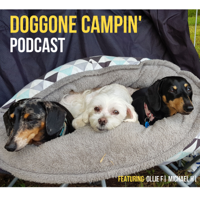 Doggone Campin'