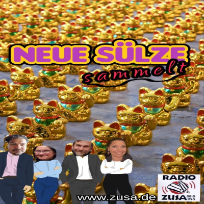 episode Neue Sülze sammelt artwork