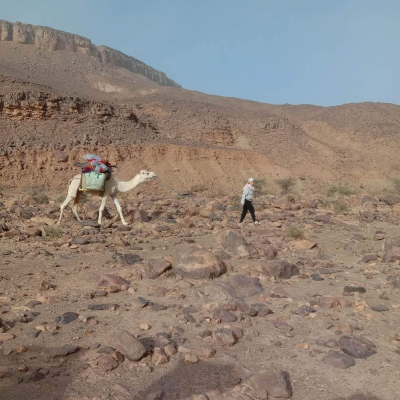 episode Wüstenreise Marokko - Akabar Sahara Treks - einzigartig, professionell, liebevoll artwork