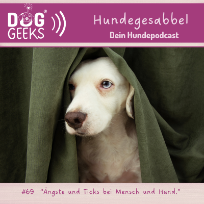 episode #69 DogGeeks-Hundegesabbel „Ängste und Ticks bei Mensch und Hund“ artwork