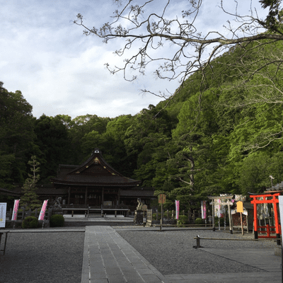 Coverbild der Sendung Haihai