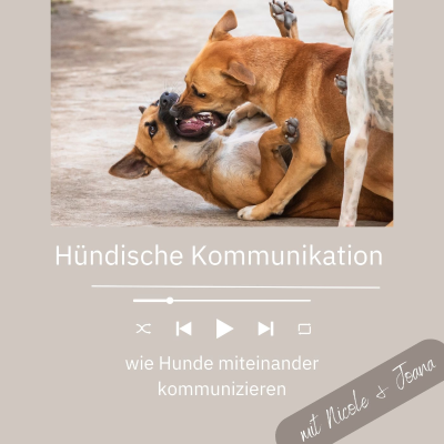 episode #22 Hündische Kommunikation artwork