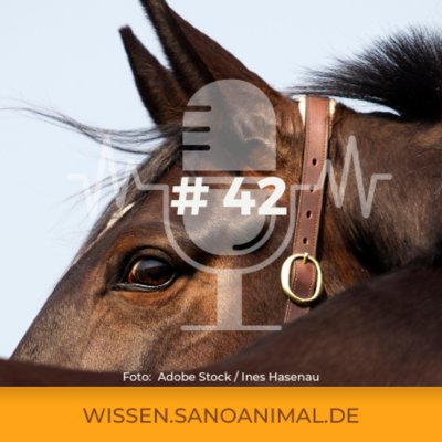 episode Sanoanimal Podcast #42 - Entwurmen im Herbst artwork