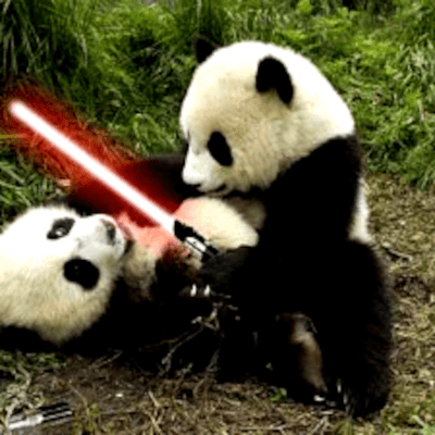 episode Battle Of The Pandas artwork
