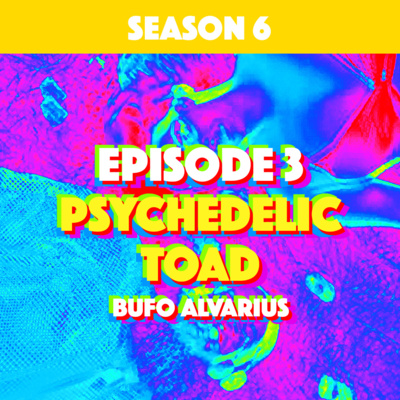 episode Higher Consciousness Season 6 Episode 3 Bufo Alvarius artwork