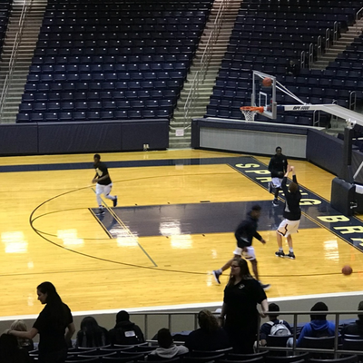 episode Spring Woods Tigers vs Dekaney Wildcats Bi-District Boys Basketball Game artwork