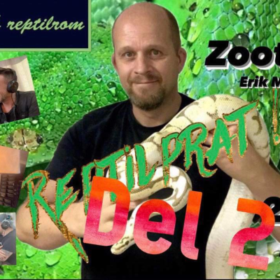 episode REPTILPRAT 2024 #2 ZOOTICUS DEL 2 artwork