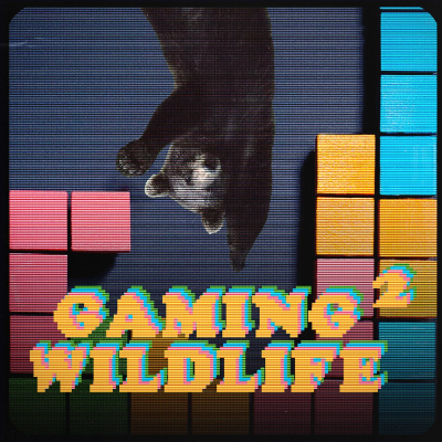 episode Gaming Wildlife 2 Ep.6 - Fuori l'università dai videogiochi con Lorena Rao artwork