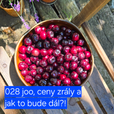 episode 028 joo, ceny zrály a jak to bude dál?! artwork