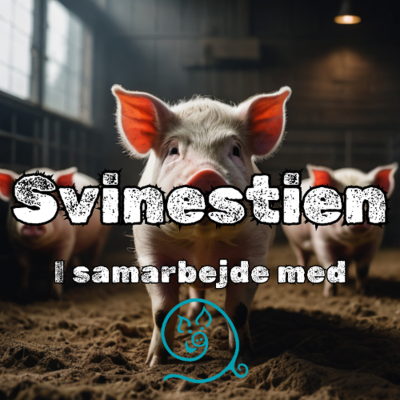episode Svinestien 2025 - Maj: DANISH Produktionstandard artwork