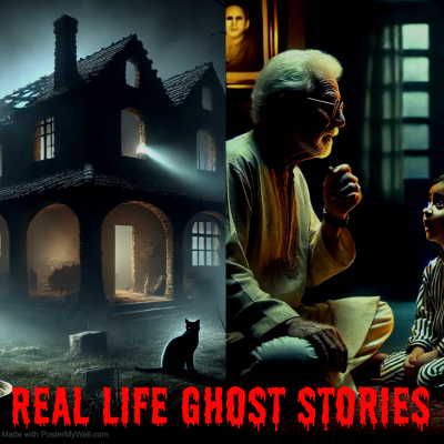 episode Real Life Ghost Stories -03 (सच्ची घटनाओं पर आधारित डरावनी कहानियाँ-०३) | Horror Stories in Hindi | S2E30 | Haunted Diaries. artwork