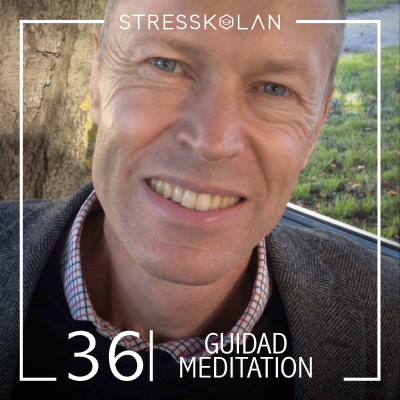 episode 36. Guidad meditation - Läkare Nils Joneborg artwork