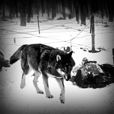 episode War During Winter is a Horrible Thing... artwork