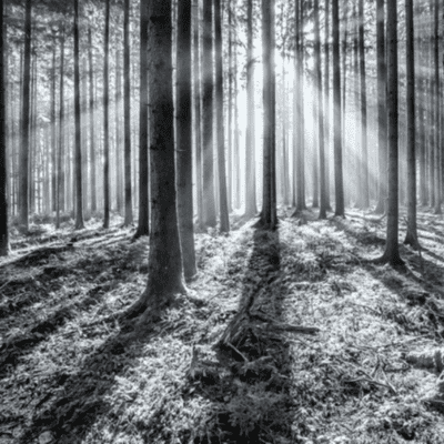episode Kindheit im Schatten der RAF by Marc artwork