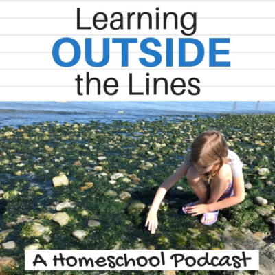 episode Thoughts on Wildschooling artwork