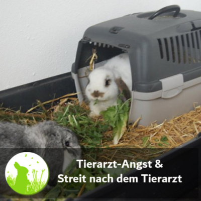 episode Tierarztangst und Streit nach dem Tierarzt artwork