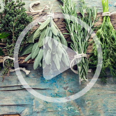 episode Herbs for Every Season artwork