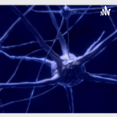 Sistema Nervioso. La Neurona