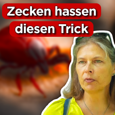 episode #397 - Zeckenschutz - Das hilft wirklich (weiß niemand) | Viola Schalski artwork