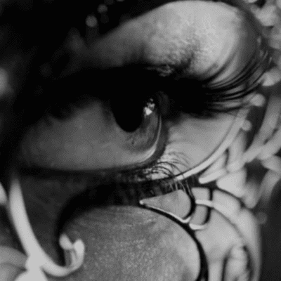 episode IL SEGRETO DI REBECCA artwork