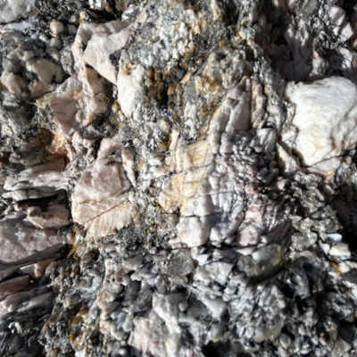 episode Episode 416: The Institute of Spectra-Sonic Sound 10.4.25 artwork