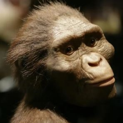 episode PI 7X87 La relación del ser humano con los animales y la naturaleza desde sus orígenes artwork