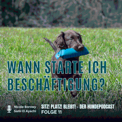 episode #11 Zu früh, zu viel? Wann starte ich Beschäftigung mit dem Welpen artwork