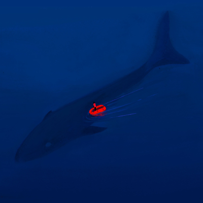 episode The Sea Troll: An Everlasting Shark? artwork