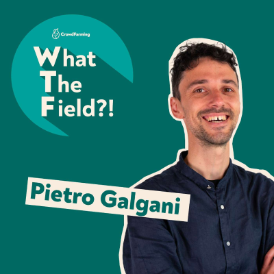 episode Real or fake price tag? A deep dive into the true cost of food with Pietro Galgani. artwork