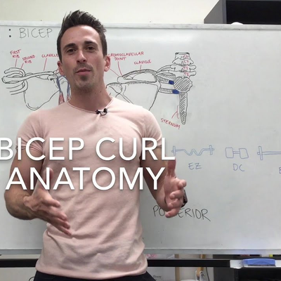 episode Bicep Curl | Functional Anatomy artwork