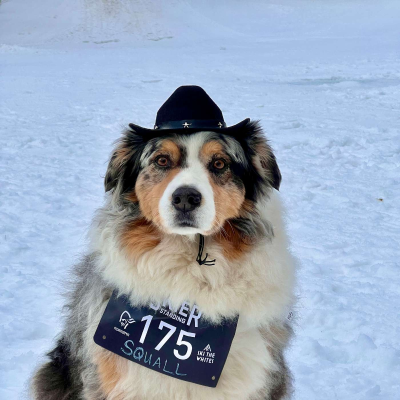 episode Last Skier Standing Preview 2025 artwork