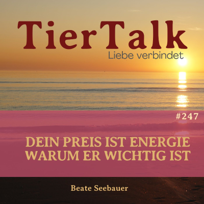 episode 247. Der Preis ist Energie artwork