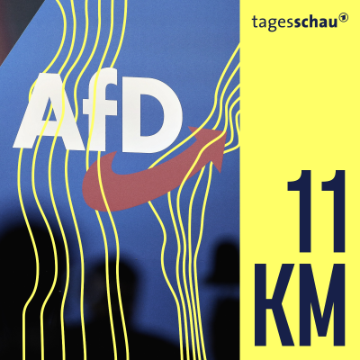 episode "Gesichert rechtsextremistisch" oder nicht? Was folgt für die AfD? artwork