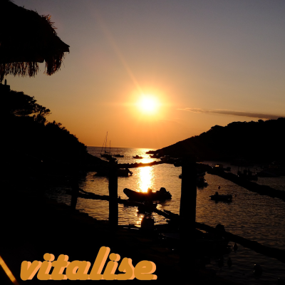 episode MS.OUTPUT 063 - Vitalise artwork