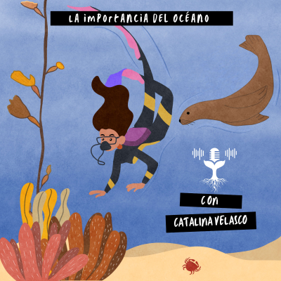 episode S04E01 - La importancia del Océano artwork