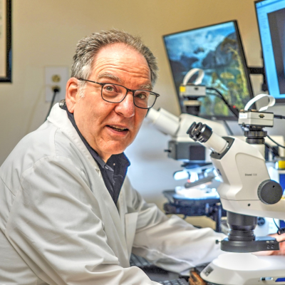 episode Mark Spear, Lab Director at RMS Fungi (Part 1) artwork