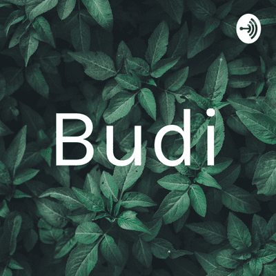 Budi