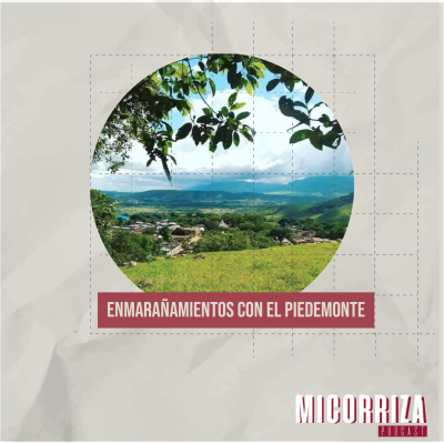 episode Micorriza Podcast | 4 | Enmarañamientos con el pie de monte artwork