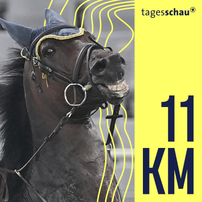 episode Auf dem Rücken der Pferde - Tierquälerei im Reitsport artwork