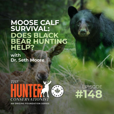 episode Moose Calf Survival: Does Black Bear Hunting Help? || Ep. 148 artwork
