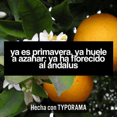 episode Aceite esencial de flor de azahar artwork