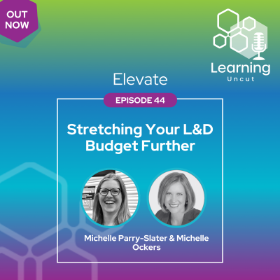 episode Elevate 44: Stretching Your L&D Budget Further artwork