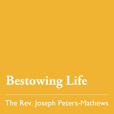 episode Easter 4 (C): Bestowing Life - May 11, 2025 artwork