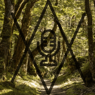 episode Piloto - El Bosque artwork