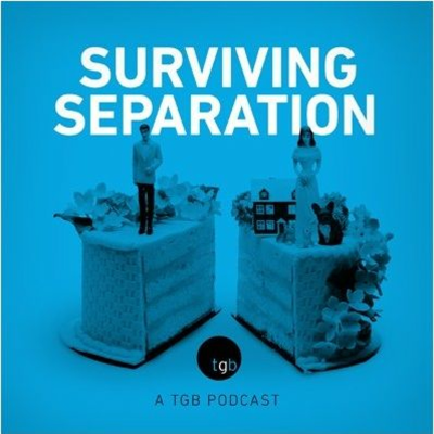 episode Ep 13: Dollars and sense - understand the family finances before you separate artwork