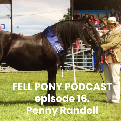 episode Episode 16. Penny Randell artwork