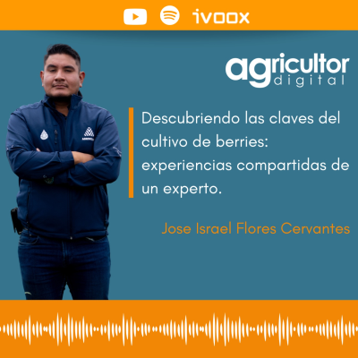 episode Descubriendo las claves del cultivo de berries: experiencias compartidas de un experto #56 - AD artwork