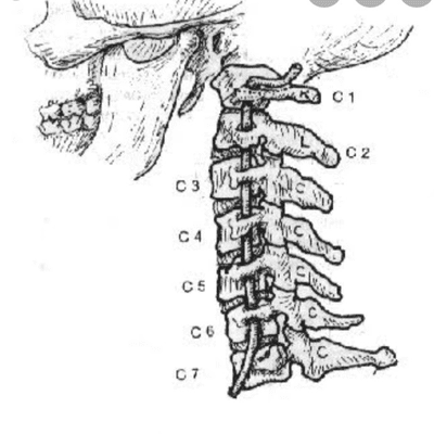 episode Episodio 4. Biomecanica Cervical. artwork