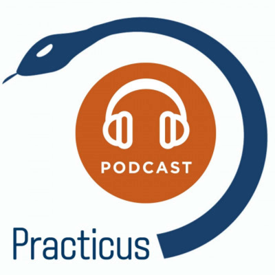 Practicus Podcast