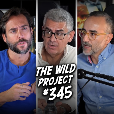 episode The Wild Project #345 - Toda la Verdad sobre el CASO ALCASSER: El Vídeo, Anglés y la Conspiración artwork